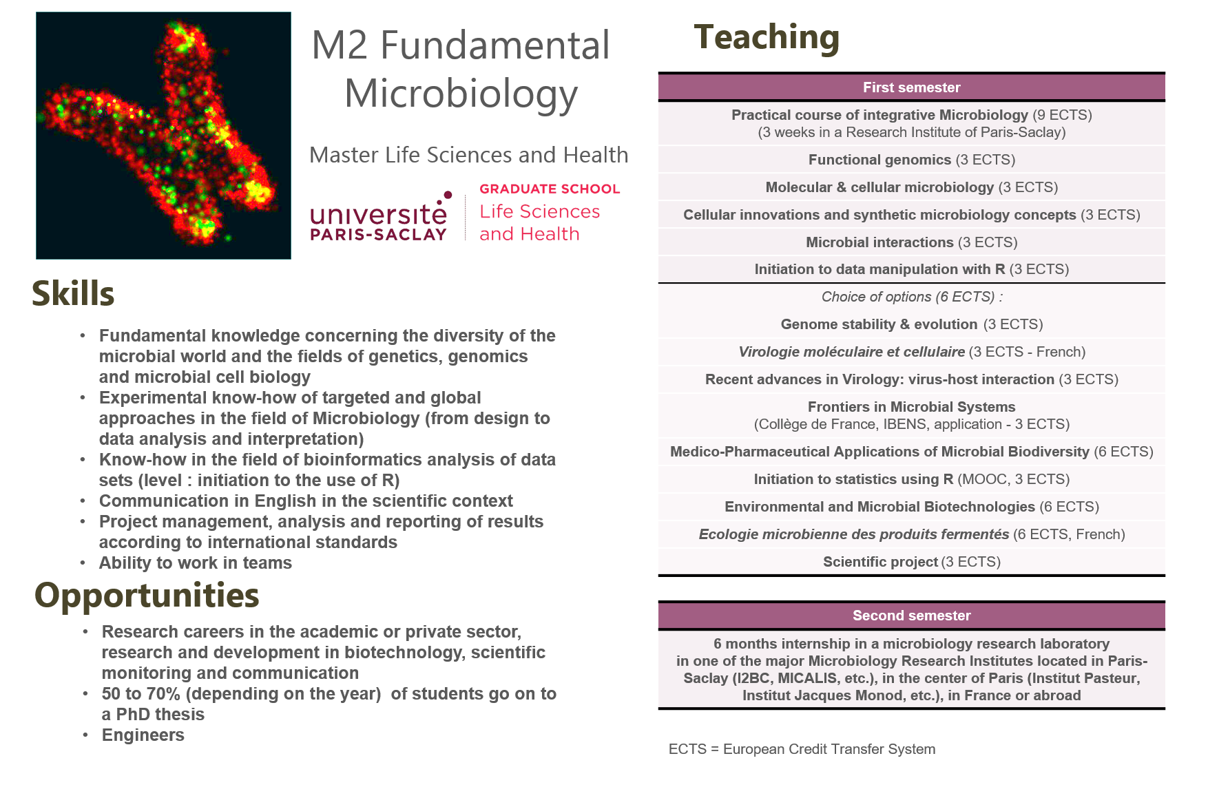 M2_Fundamental_Microbiology