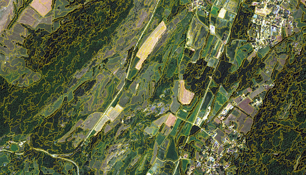 Image de télédétection