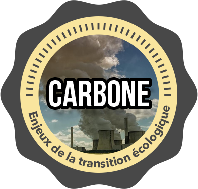 Badge Carbone