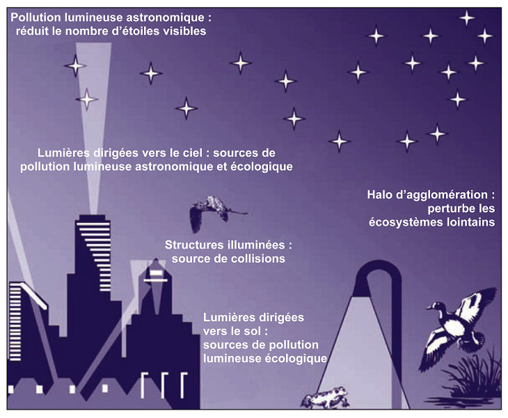 Europe vue de nuit - Planet Observer/UIG/Getty images