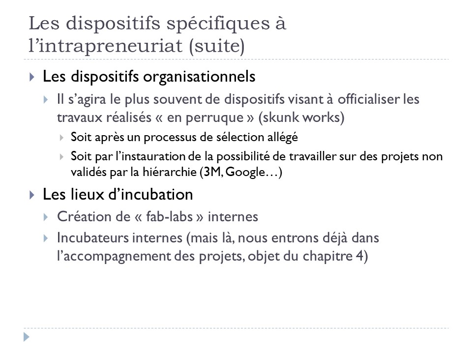 Les dispositifs spécifiques à l'intrapreneuriat (suite)