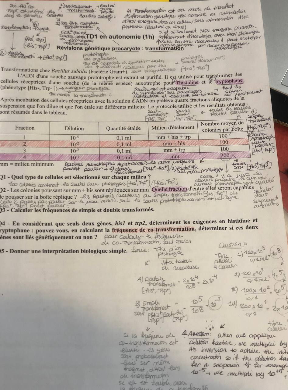 TD-Autonomie Génétique